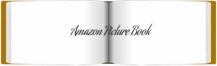 Amazon Picture Book
