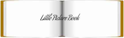 Little Picture Book